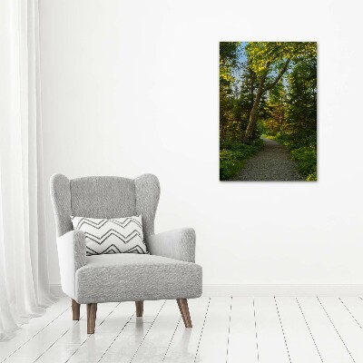 Tableau sur verre acrylique Un chemin dans la forêt