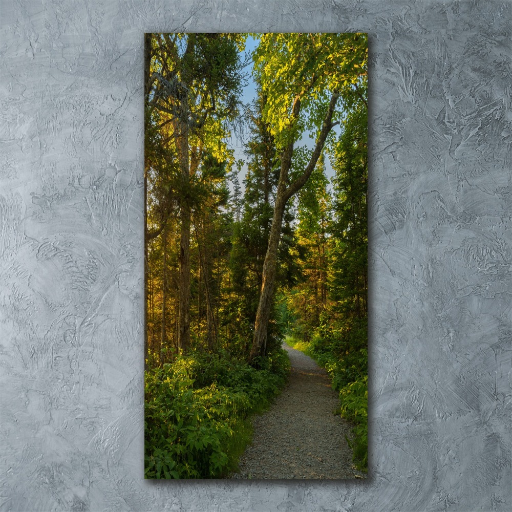 Tableau sur verre acrylique Un chemin dans la forêt