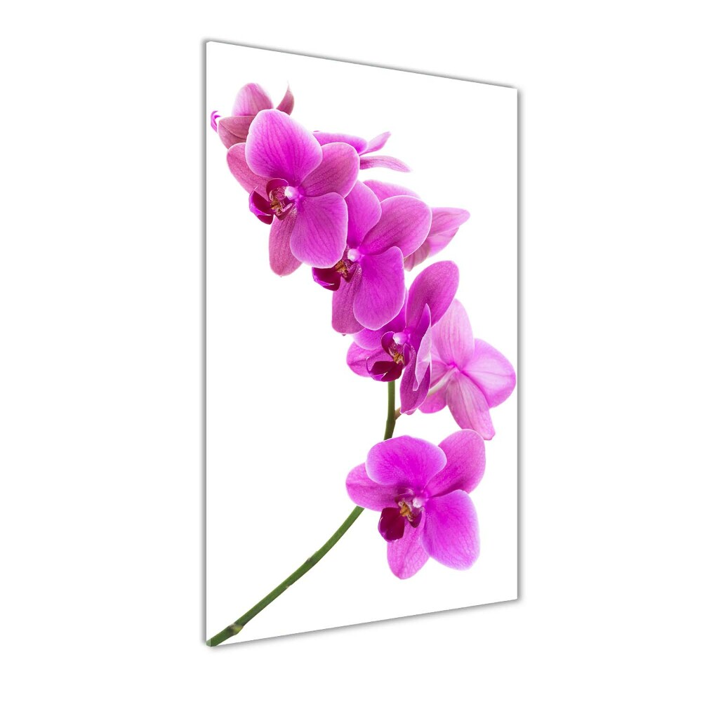 Tableau sur verre acrylique Orchidée rose fleur