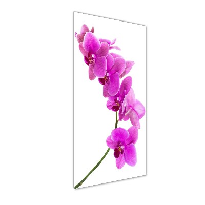 Tableau sur verre acrylique Orchidée rose fleur