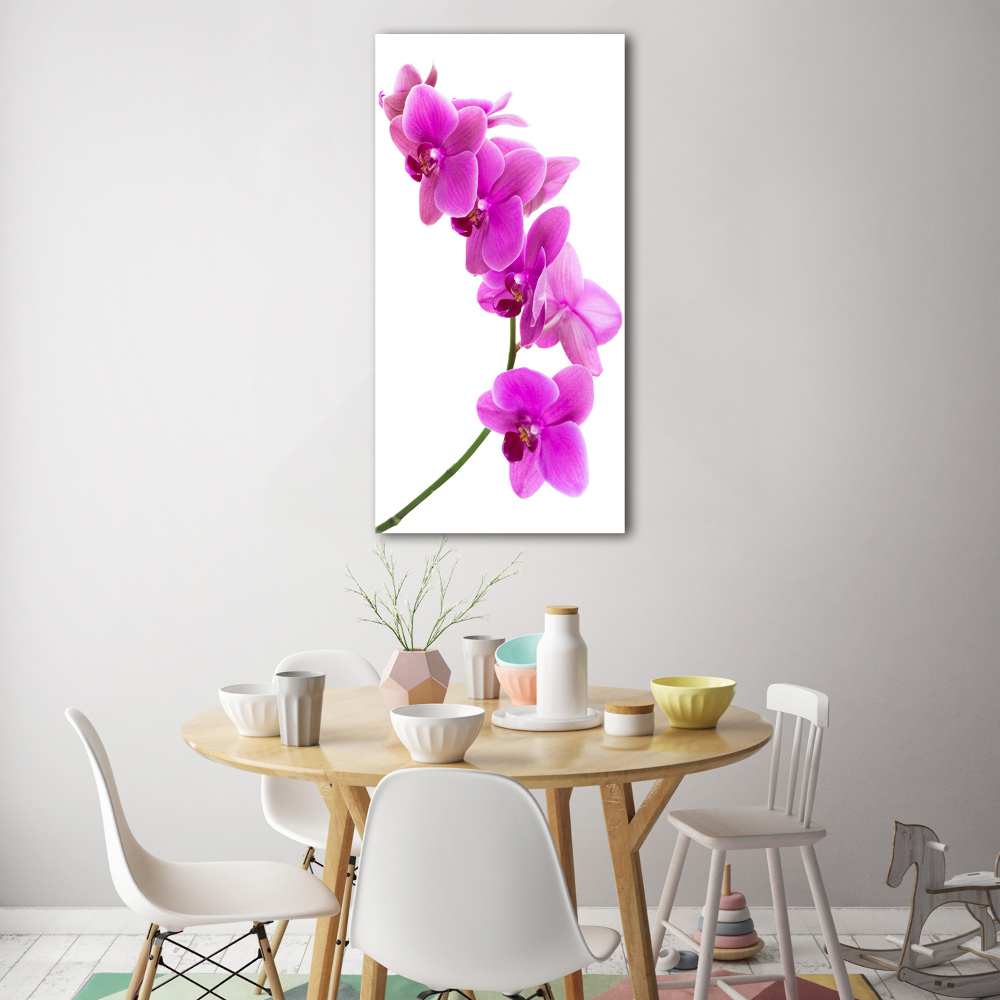 Tableau sur verre acrylique Orchidée rose fleur