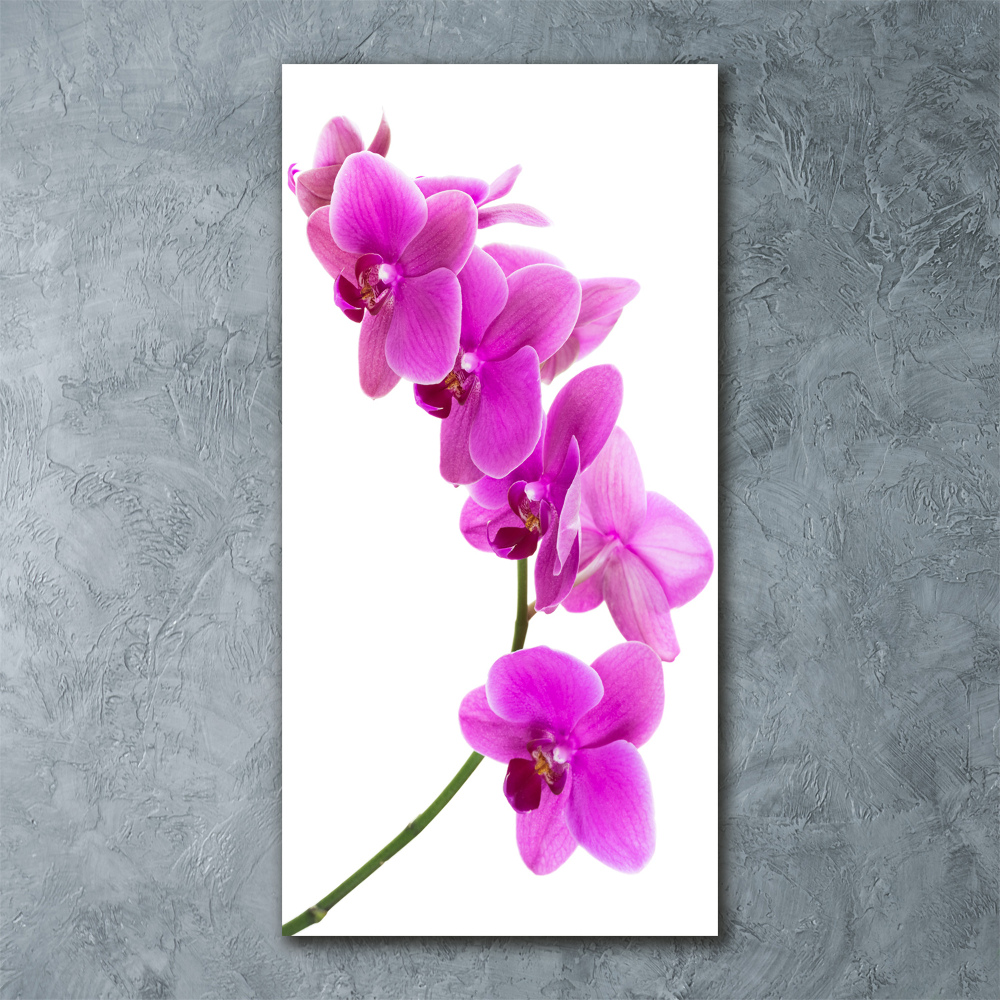 Tableau sur verre acrylique Orchidée rose fleur