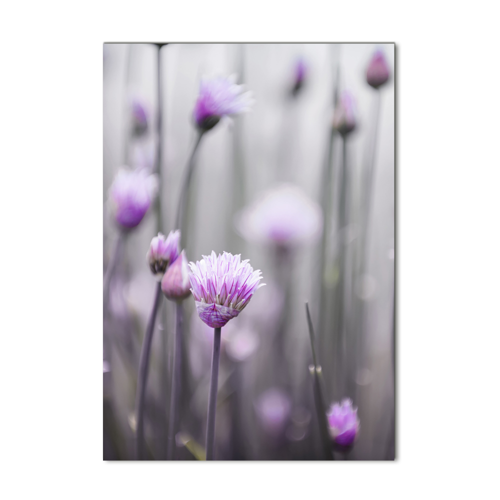 Tableau sur verre acrylique Fleurs de ciboulette