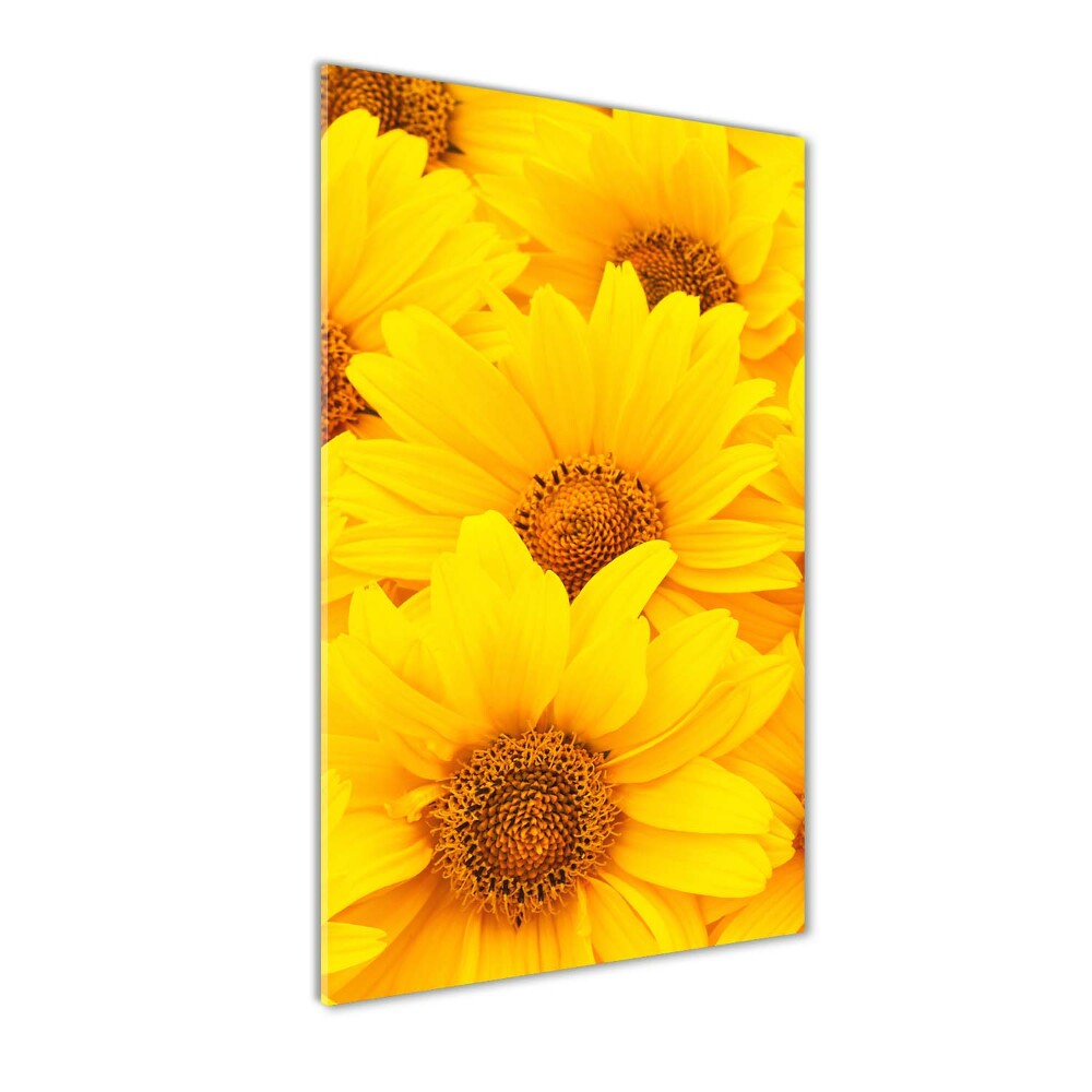 Tableau verre acrylique Tournesol