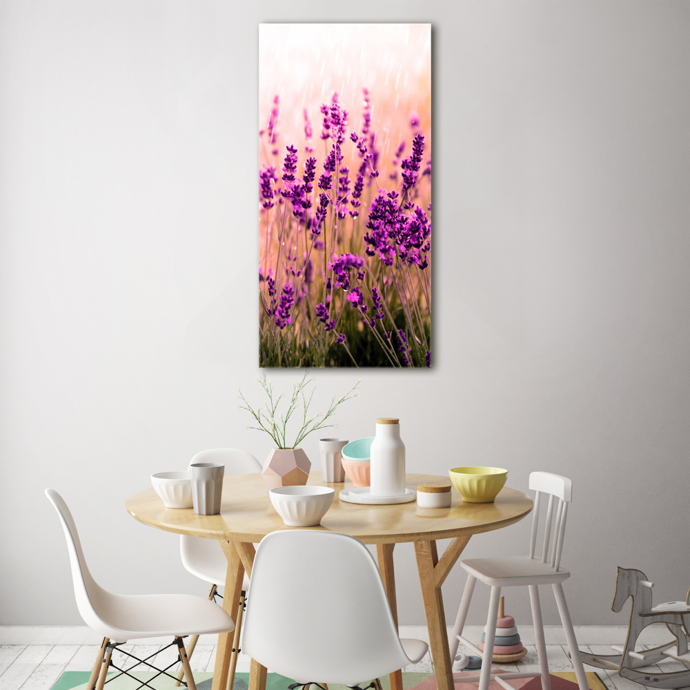 Tableau sur verre acrylique Champ de lavandes