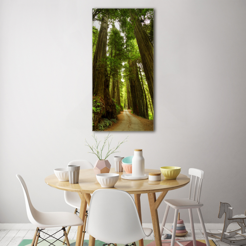 Tableau en acrylique Chemin dans la forêt