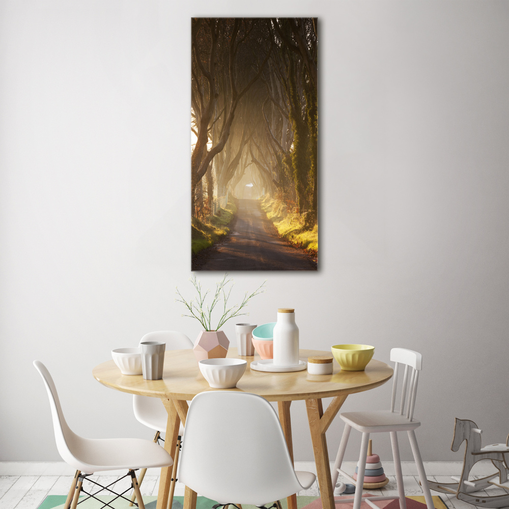 Tableau verre acrylique Un chemin dans la forêt