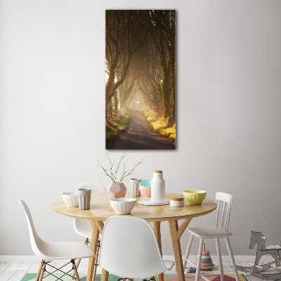 Tableau verre acrylique Un chemin dans la forêt