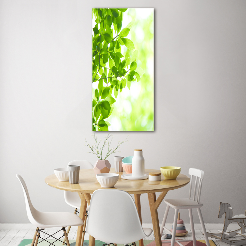 Tableau verre acrylique Feuilles vertes