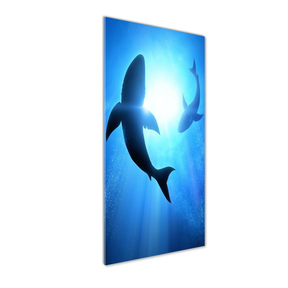 Tableau sur verre acrylique Silhouettes de requins