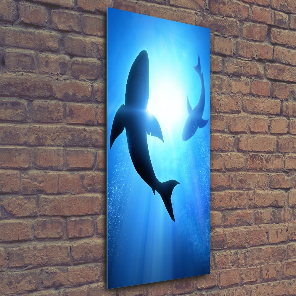 Tableau sur verre acrylique Silhouettes de requins