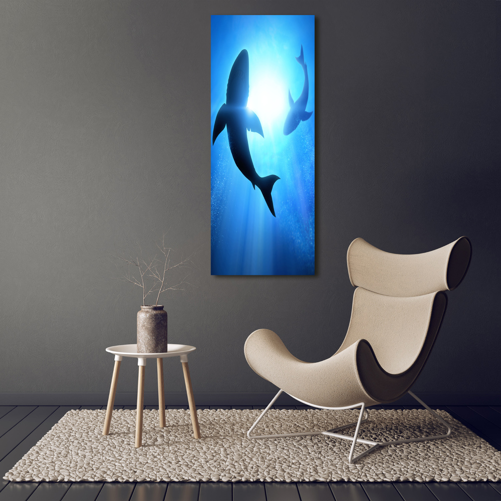 Tableau sur verre acrylique Silhouettes de requins