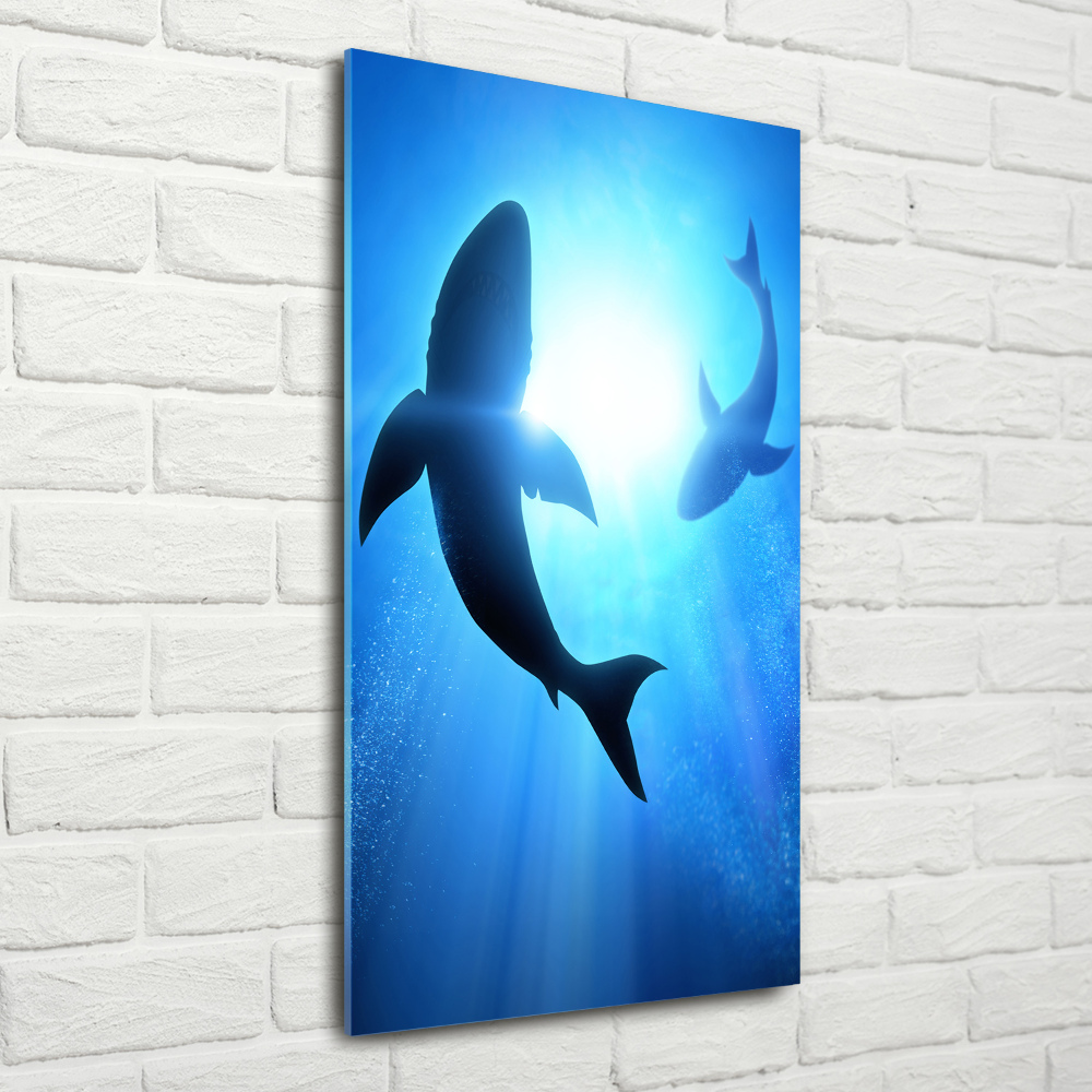 Tableau sur verre acrylique Silhouettes de requins