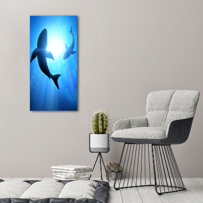 Tableau sur verre acrylique Silhouettes de requins