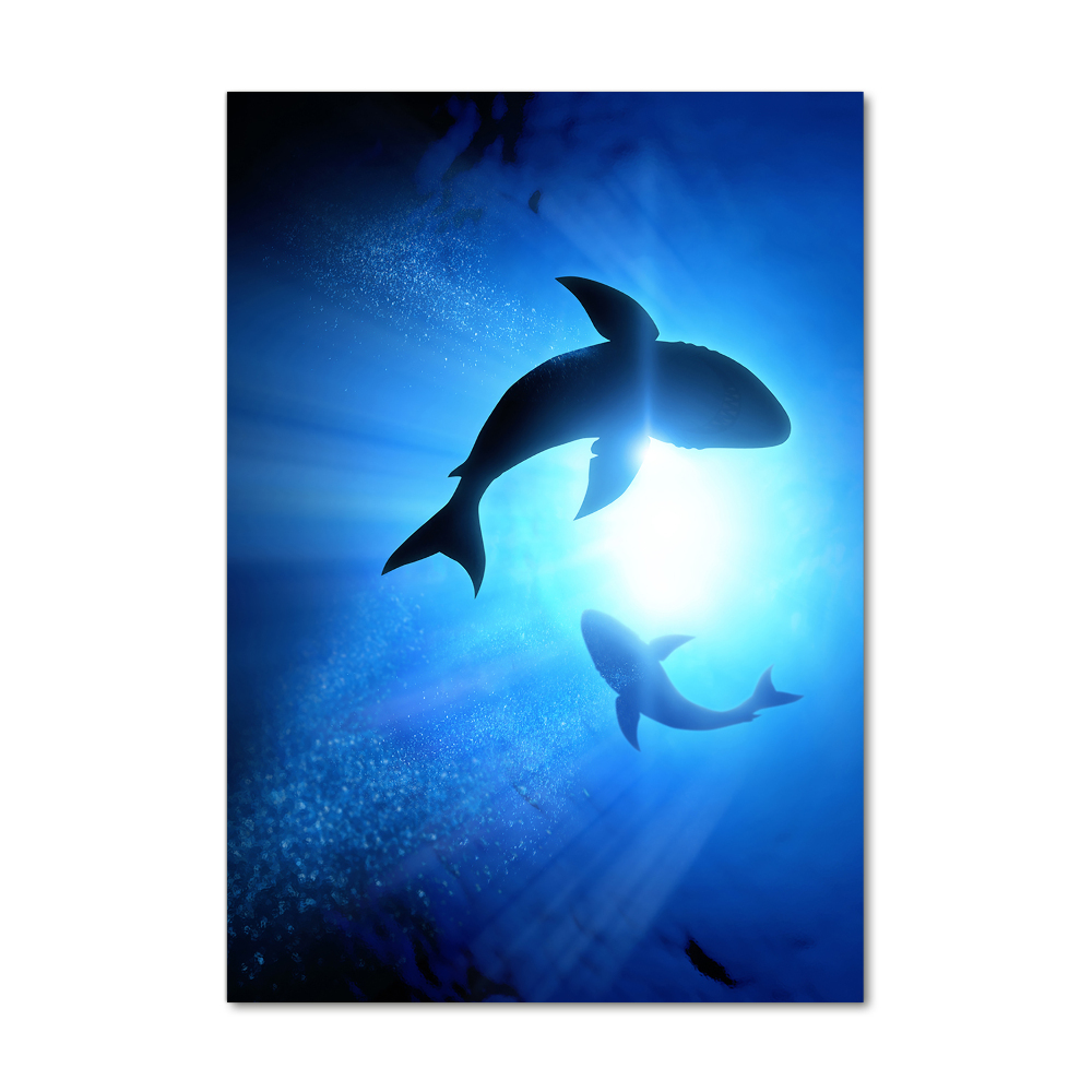 Tableau sur verre acrylique Silhouettes de requins