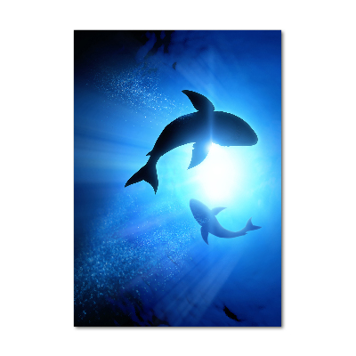 Tableau sur verre acrylique Silhouettes de requins