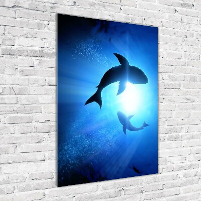 Tableau sur verre acrylique Silhouettes de requins