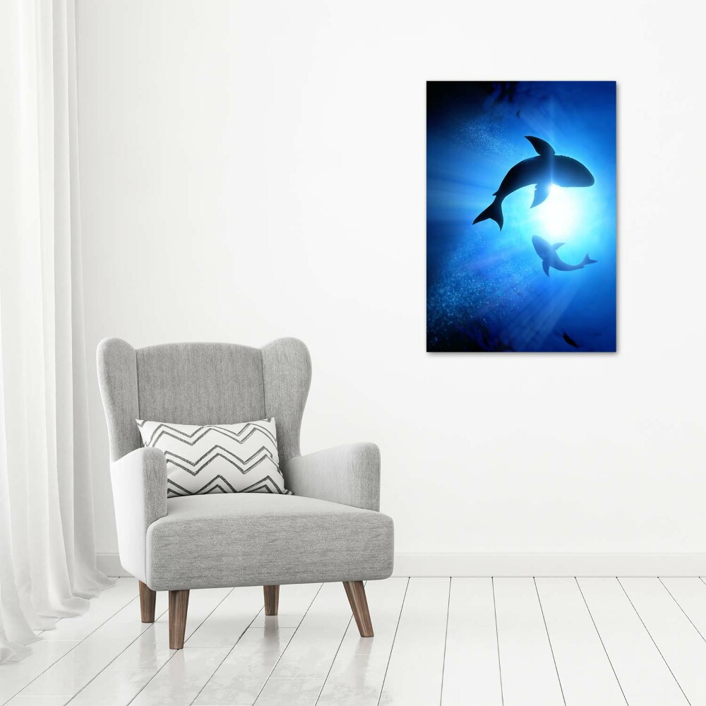 Tableau sur verre acrylique Silhouettes de requins