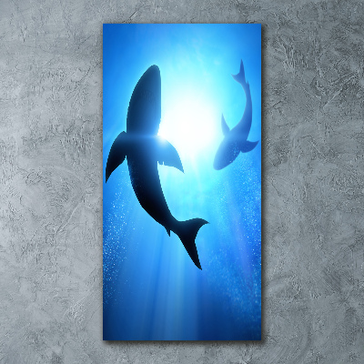 Tableau sur verre acrylique Silhouettes de requins