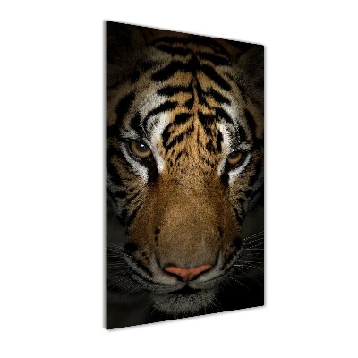 Tableau verre acrylique Tigre