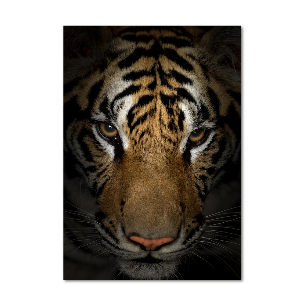 Tableau verre acrylique Tigre