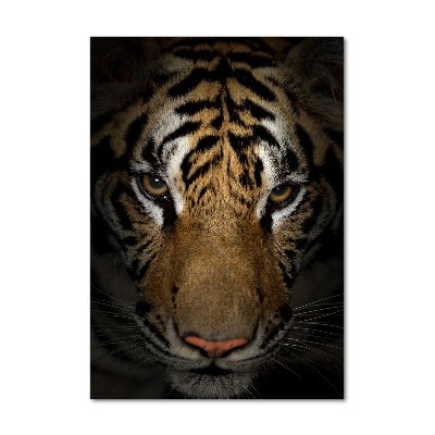 Tableau verre acrylique Tigre