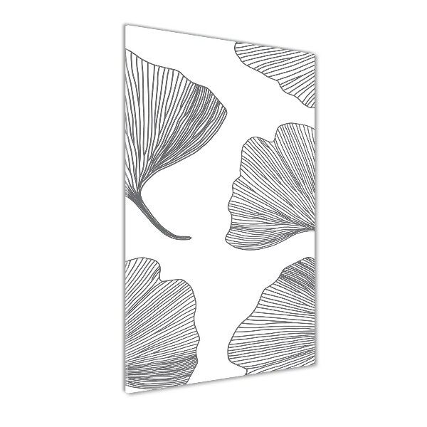 Ginkgo