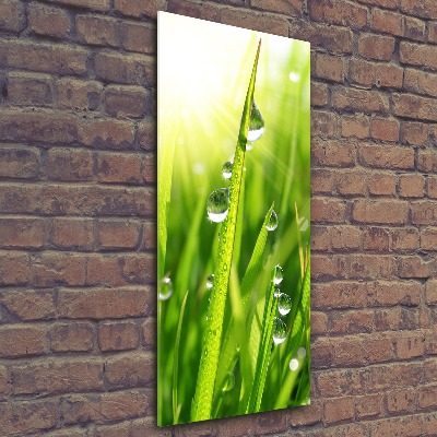 Tableau acrylique Tiges d'herbe