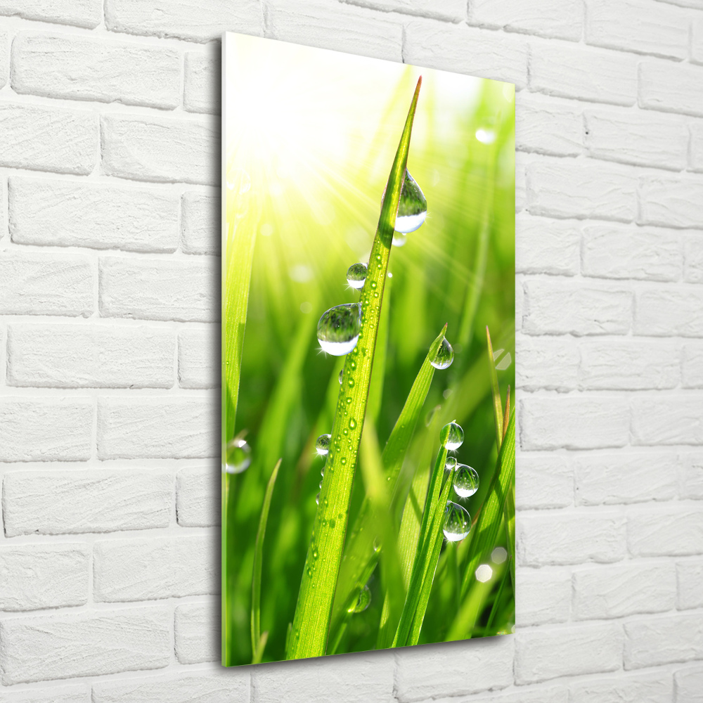 Tableau acrylique Tiges d'herbe