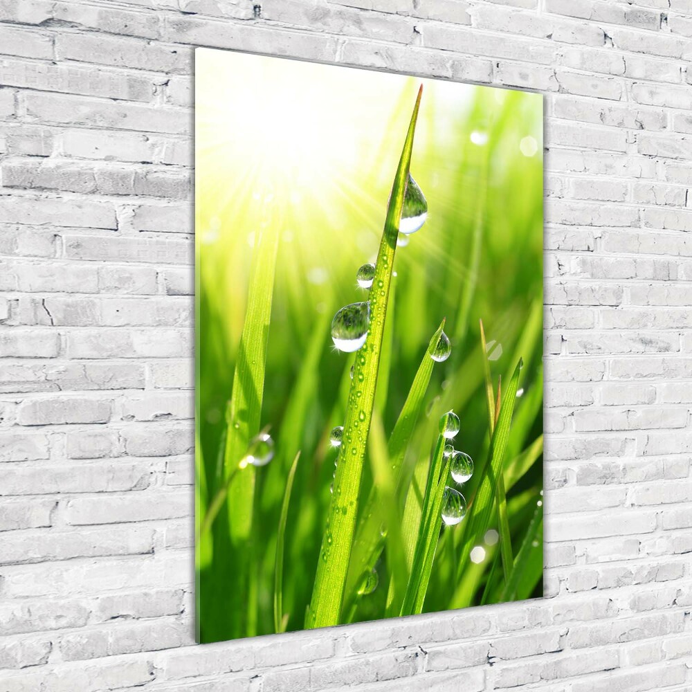 Tableau acrylique Tiges d'herbe