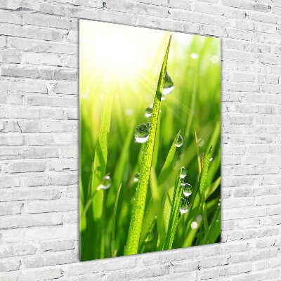 Tableau acrylique Tiges d'herbe