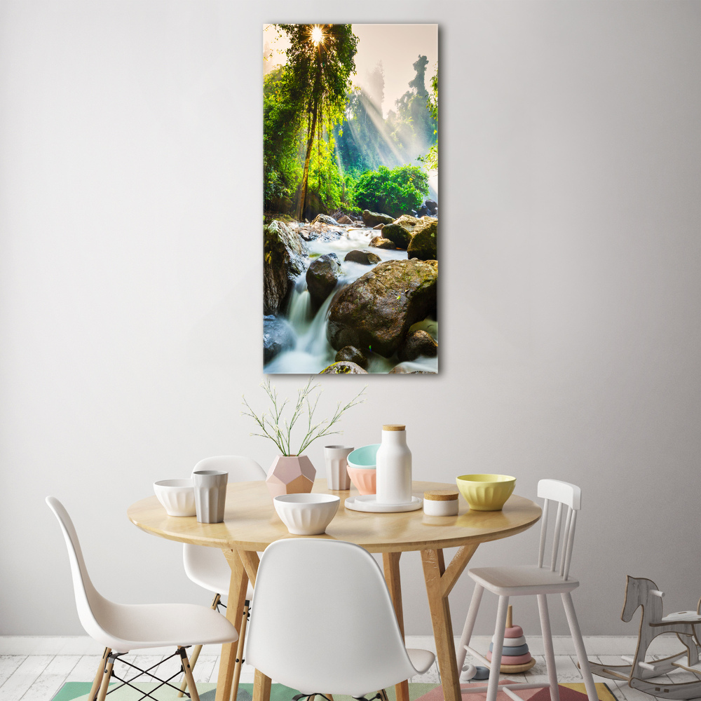 Tableau verre acrylique Cascade dans la forêt