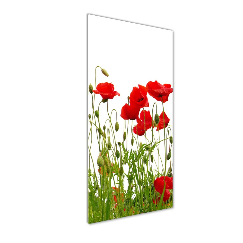 Tableau en acrylique Coquelicots des champs