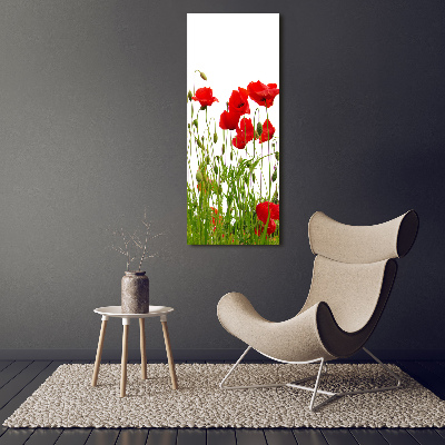 Tableau en acrylique Coquelicots des champs