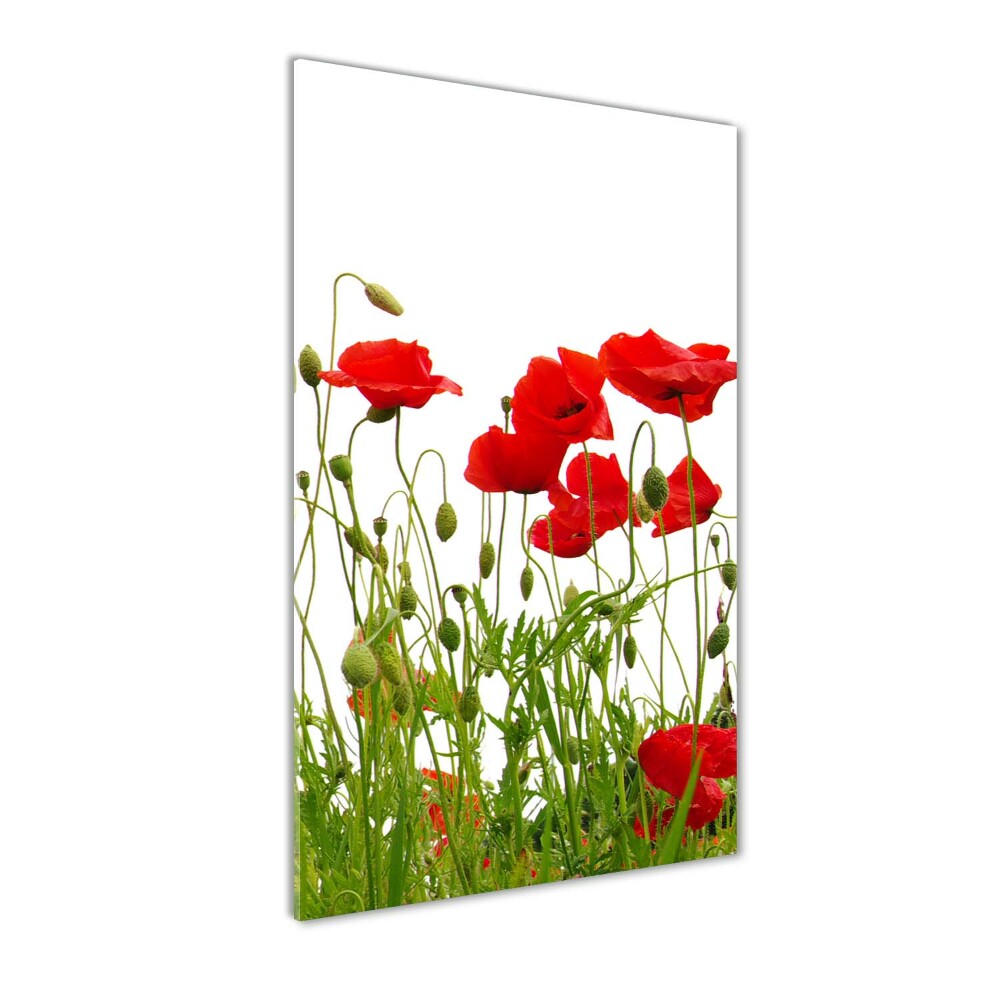 Tableau en acrylique Coquelicots des champs