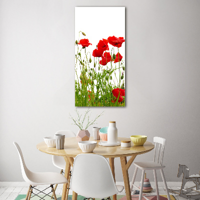 Tableau en acrylique Coquelicots des champs