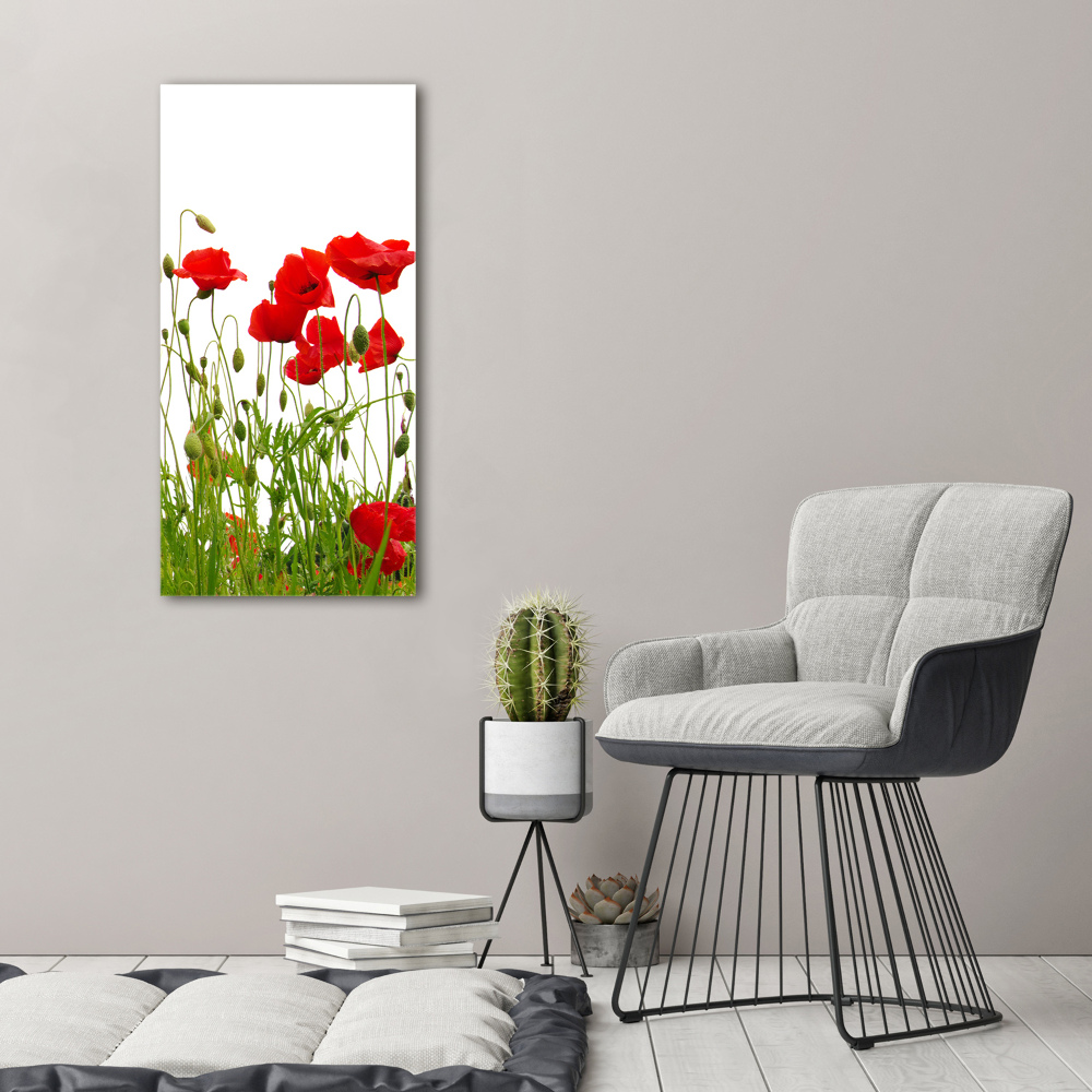 Tableau en acrylique Coquelicots des champs