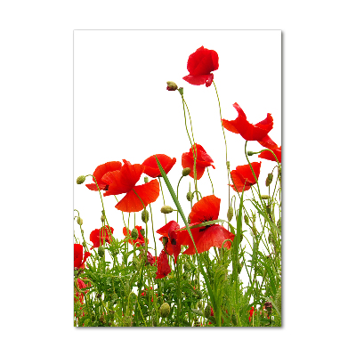 Tableau en acrylique Coquelicots des champs