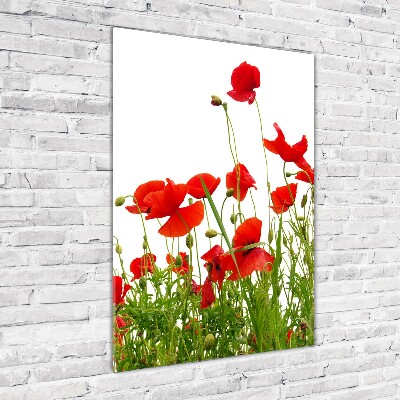 Tableau en acrylique Coquelicots des champs