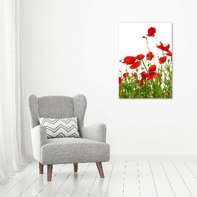 Tableau en acrylique Coquelicots des champs