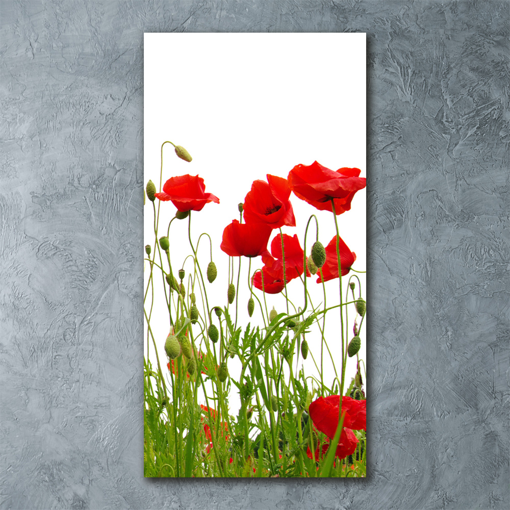 Tableau en acrylique Coquelicots des champs