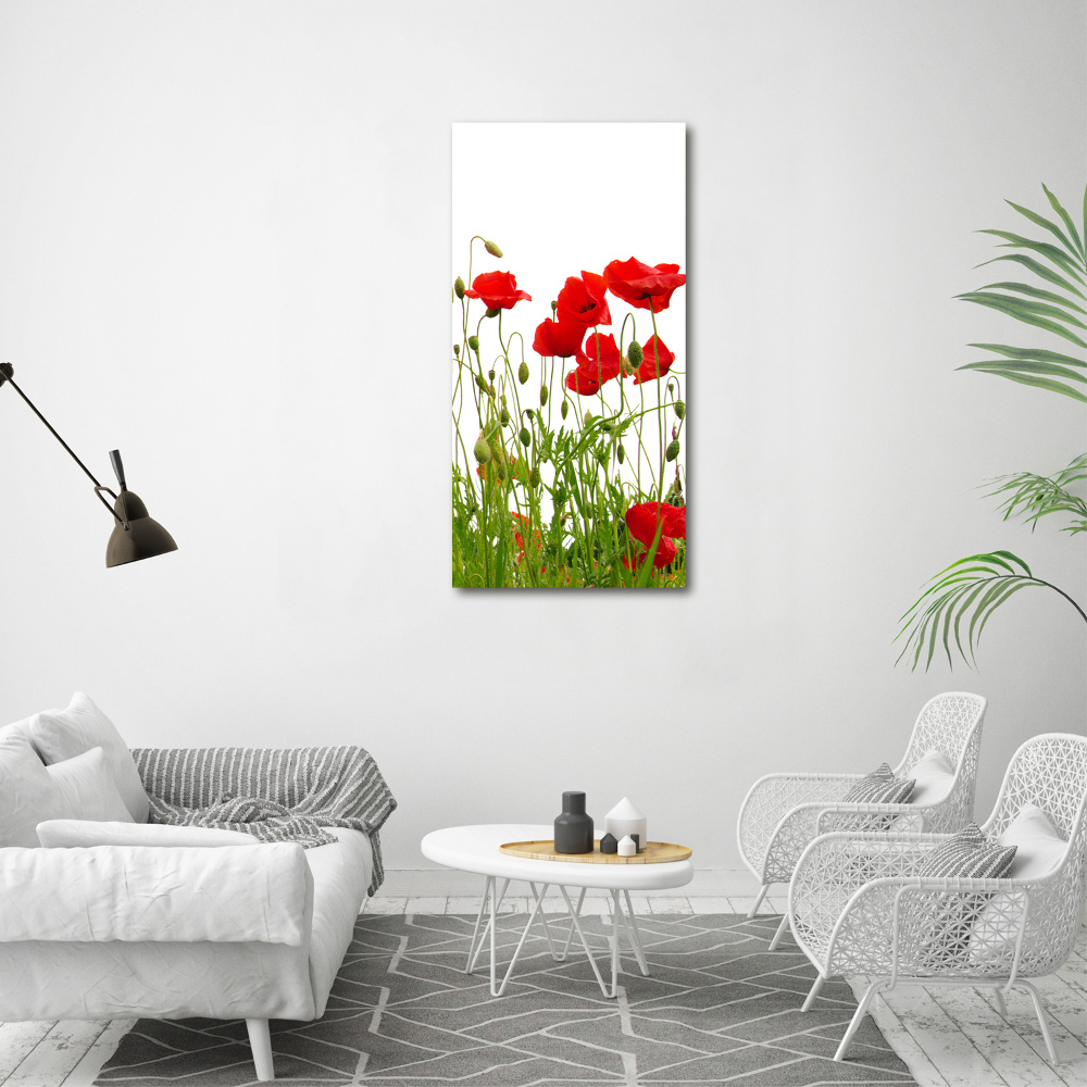 Tableau en acrylique Coquelicots des champs