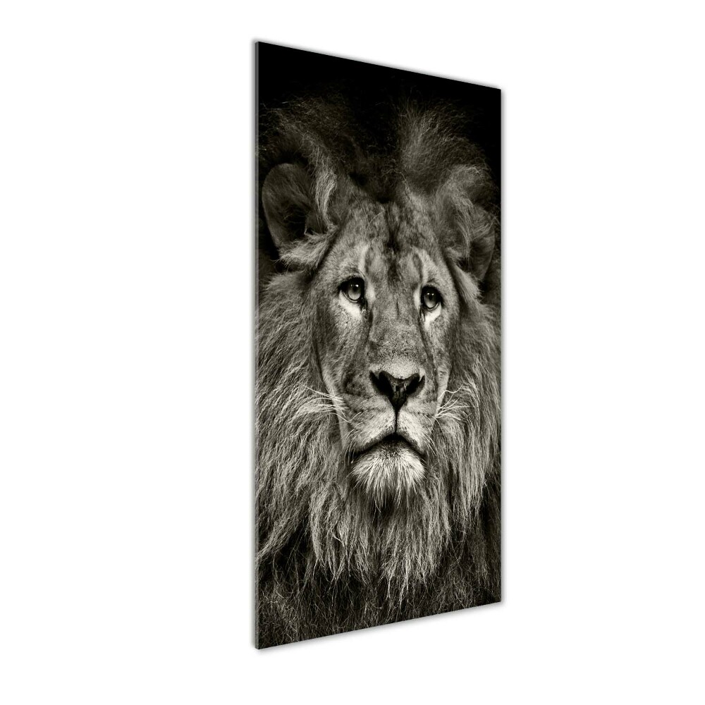 Tableau verre acrylique Lion