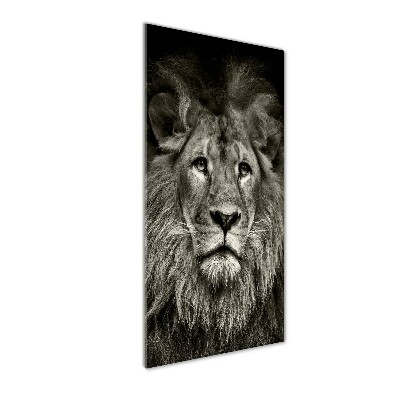 Tableau verre acrylique Lion