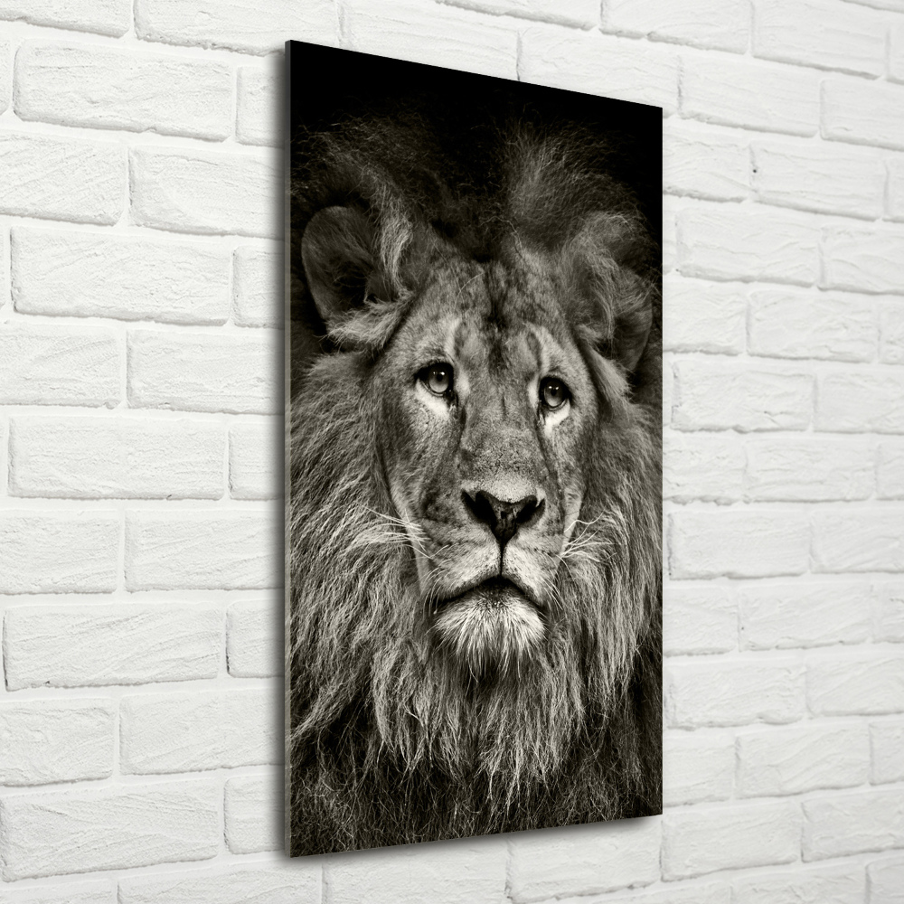 Tableau verre acrylique Lion