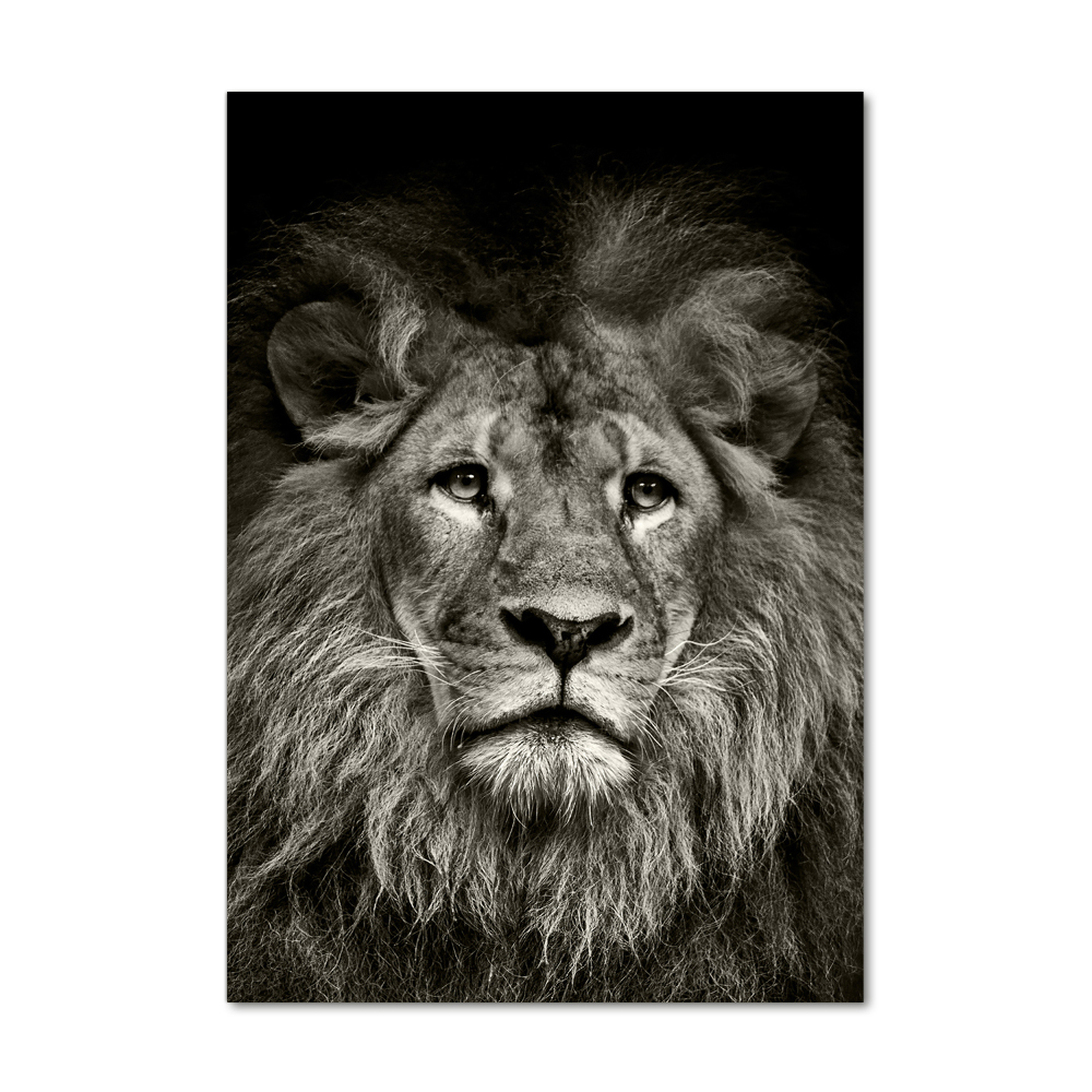 Tableau verre acrylique Lion