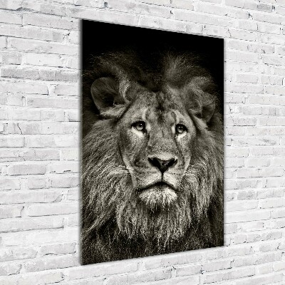 Tableau verre acrylique Lion