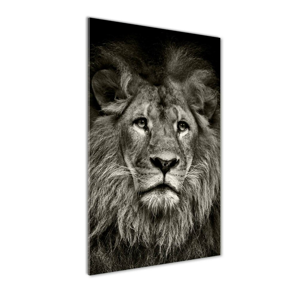 Tableau verre acrylique Lion