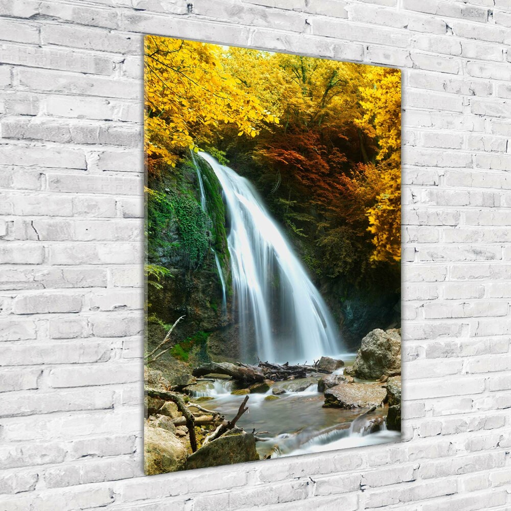 Tableau en acrylique Cascade dans la forêt