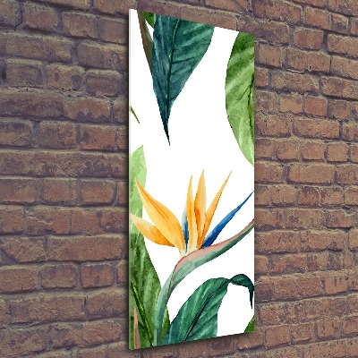 Acrylique tableau Strelitzia royal